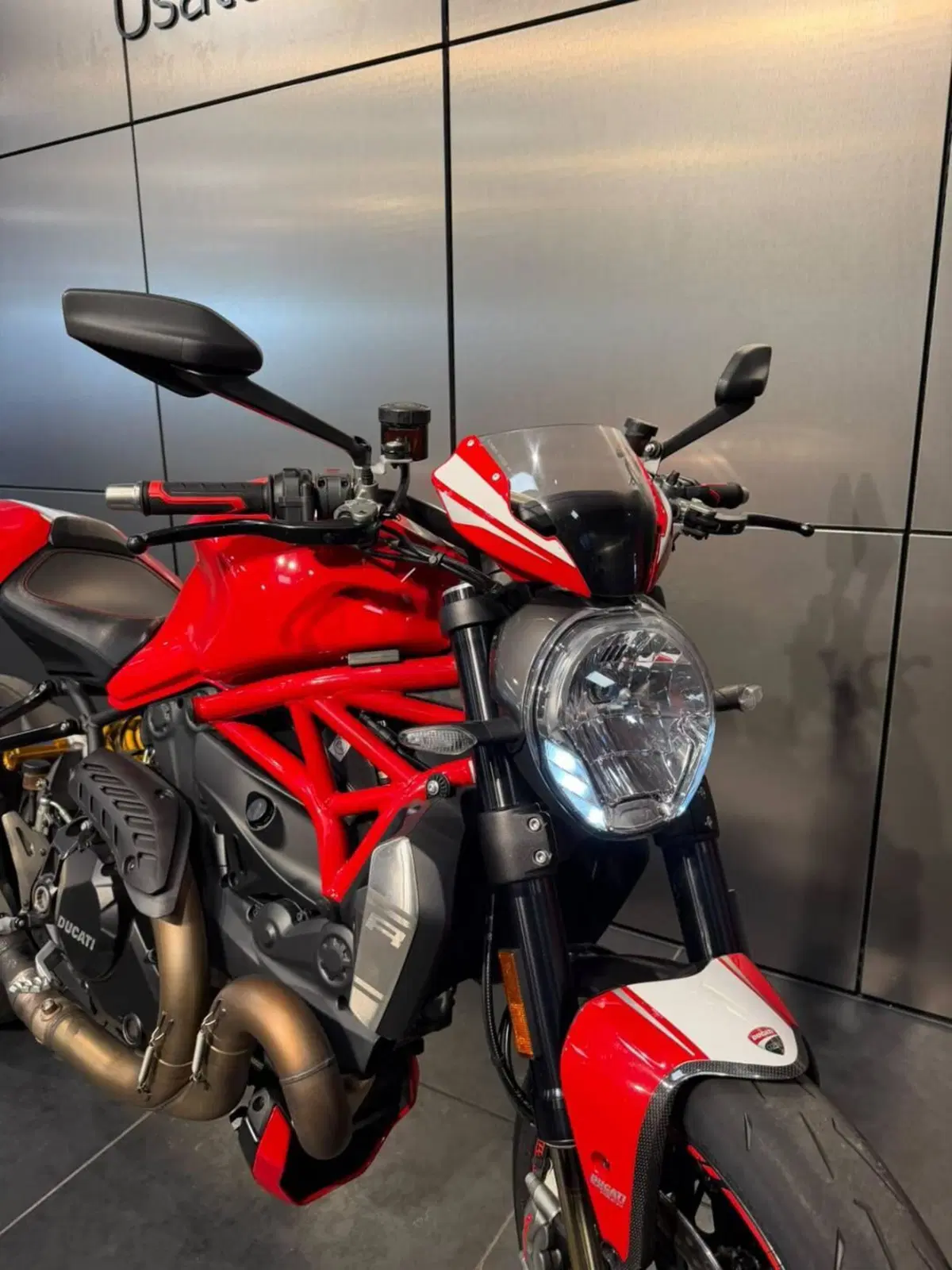 Ducati Monster 1200 R (2016 - 19) (5)