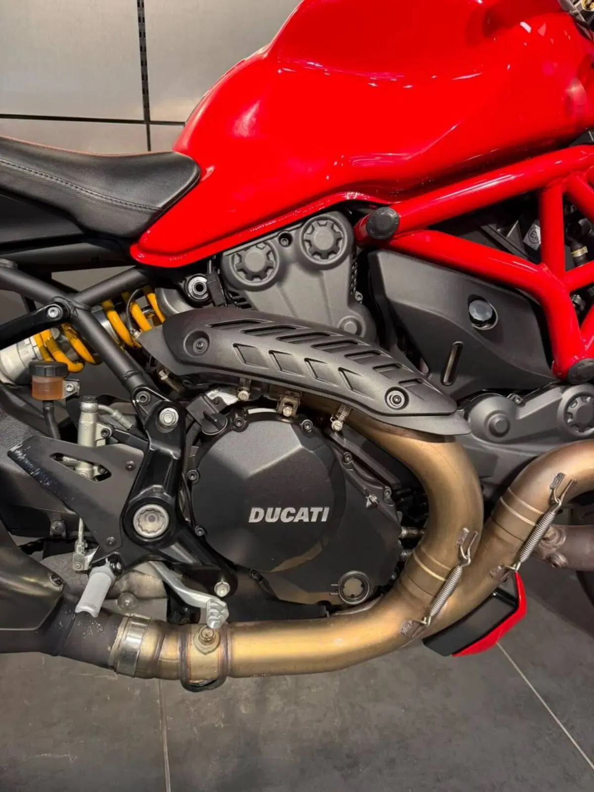 Ducati Monster 1200 R (2016 - 19) (9)
