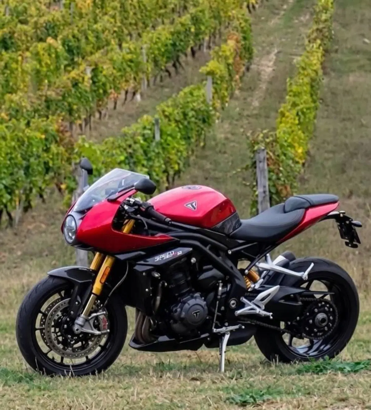 Triumph Speed Triple 1200 RR (2022 - 26)