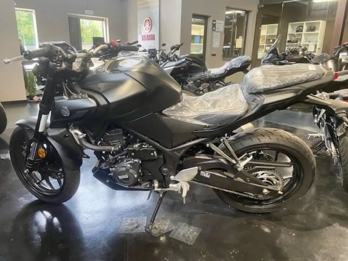 Yamaha MT-03 (2025 - 26) (3)