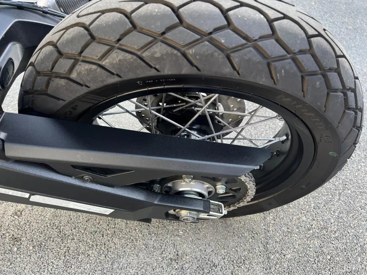 Ducati Scrambler 800 Desert Sled (2017 - 20) (19)