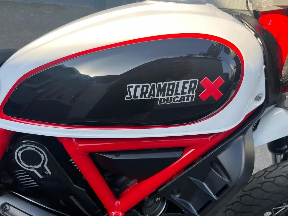 Ducati Scrambler 800 Desert Sled (2017 - 20) (7)