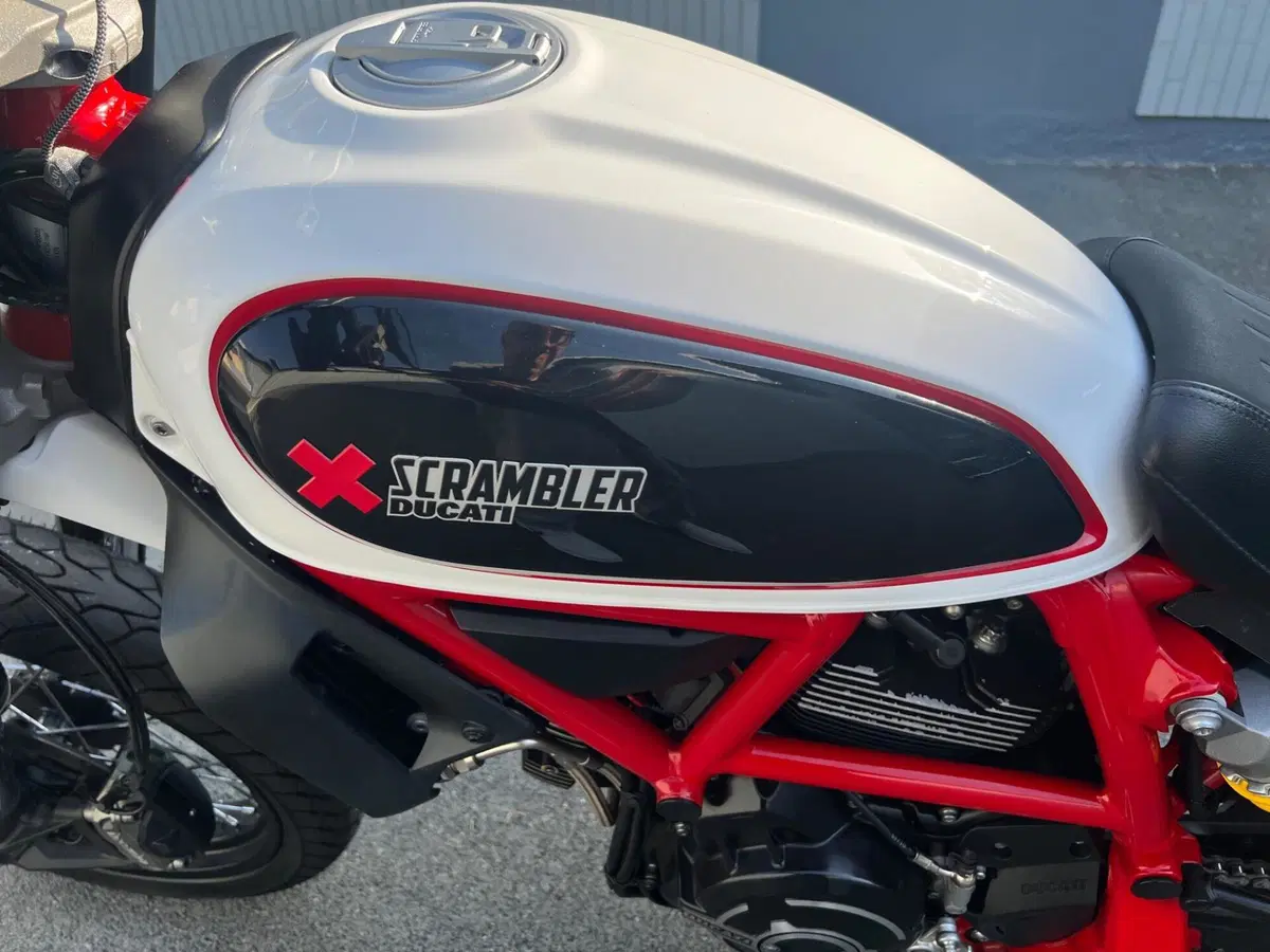 Ducati Scrambler 800 Desert Sled (2017 - 20) (6)