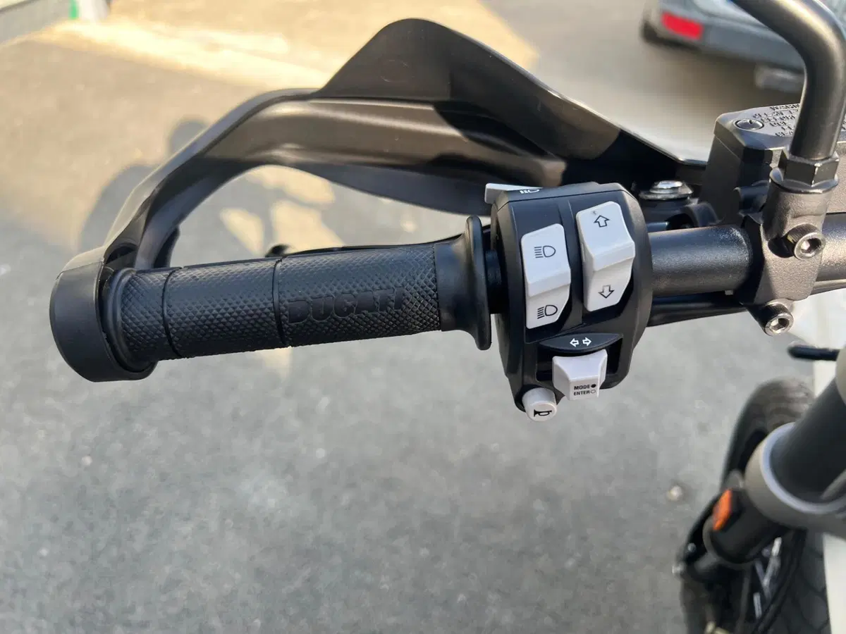 Ducati Scrambler 800 Desert Sled (2017 - 20) (14)