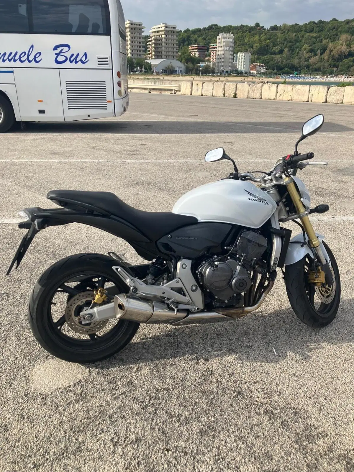 Honda Hornet 600 (2007 - 10) (2)