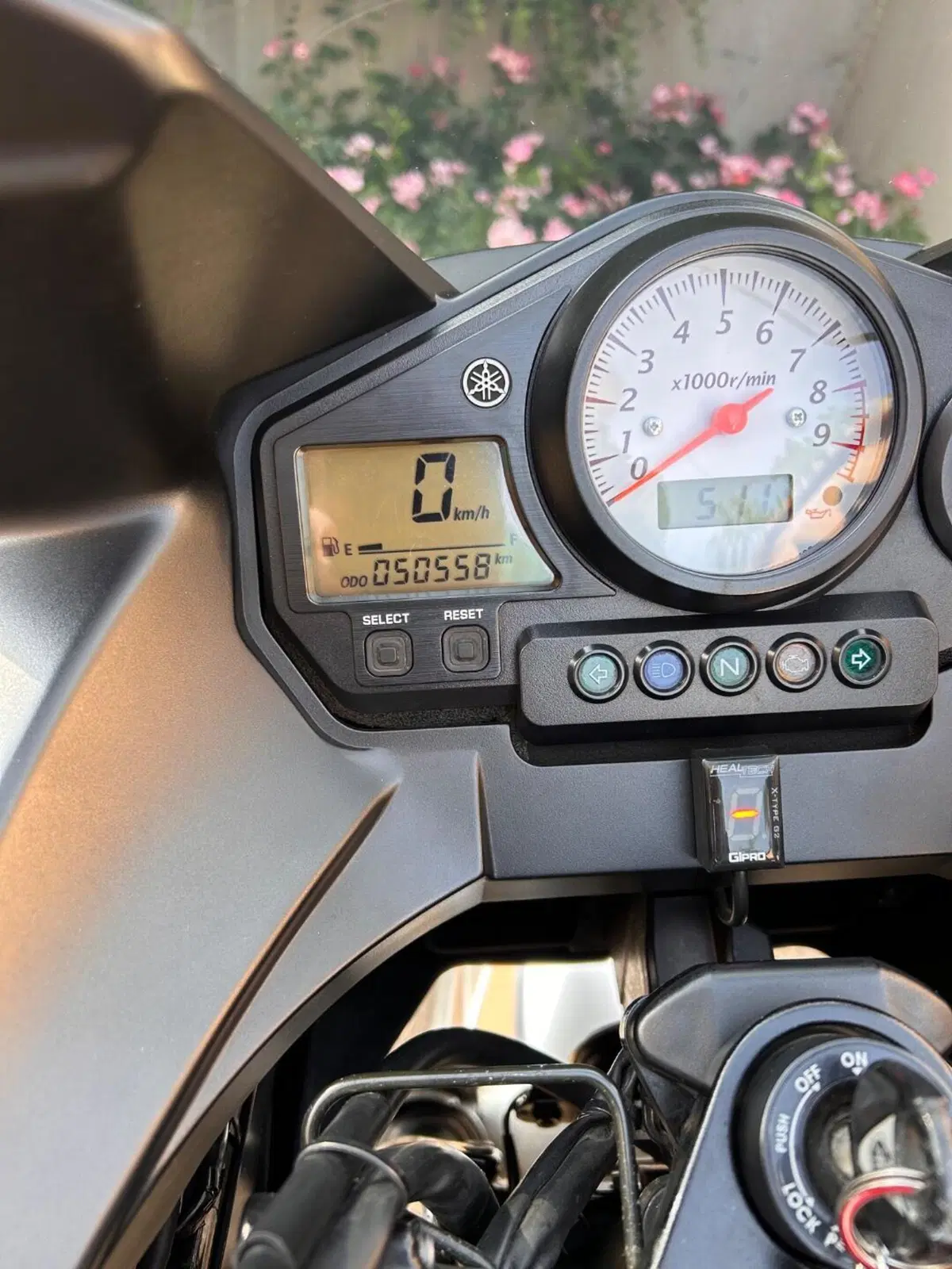 Yamaha TDM 900 (2002 - 14) (7)