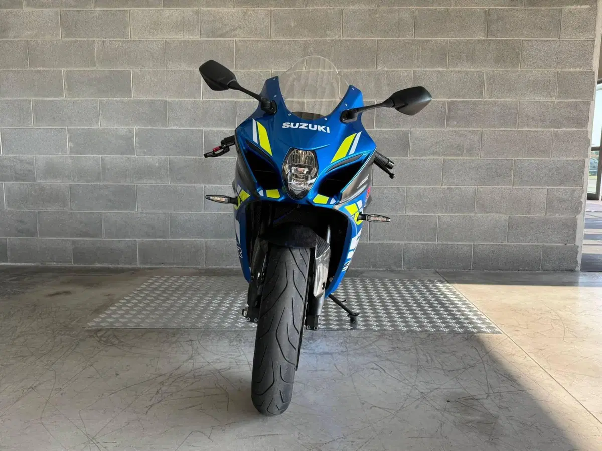 Suzuki GSX-R1000 (2019 - 20) (4)