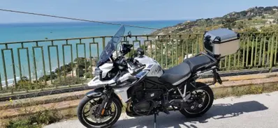 Triumph Tiger 1200 Alpine Edition (2020) usata