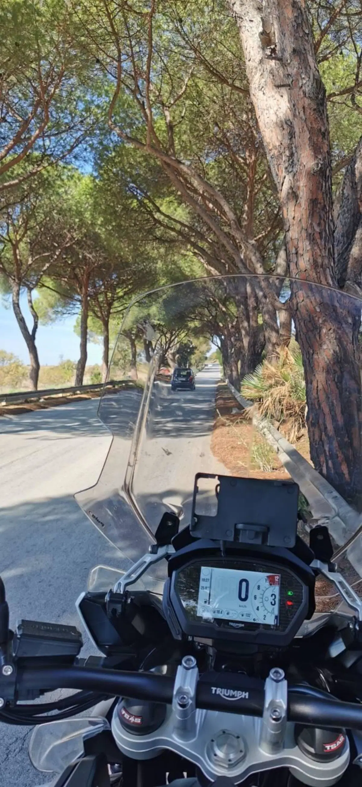 Triumph Tiger 1200 Alpine Edition (2020) (4)