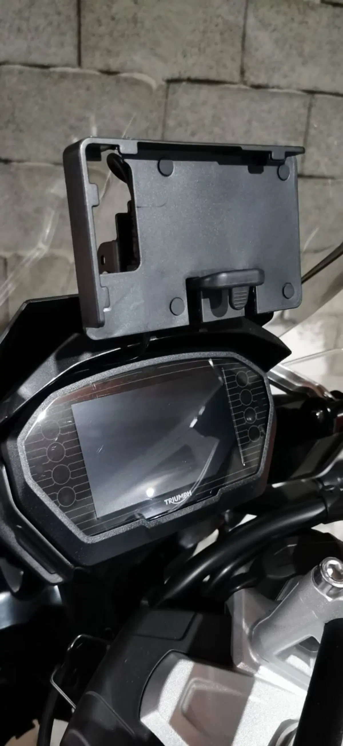 Triumph Tiger 1200 Alpine Edition (2020) (5)