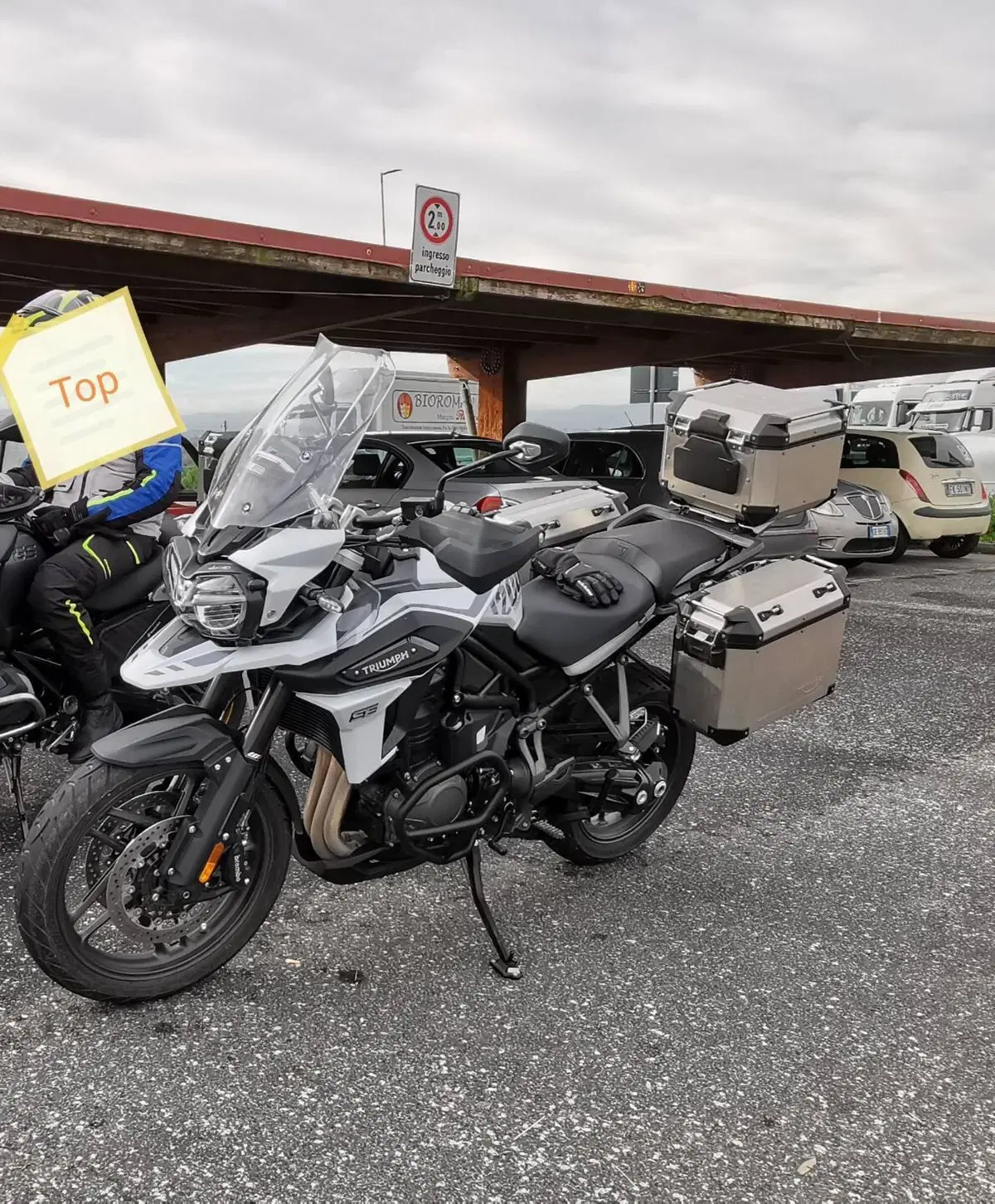 Triumph Tiger 1200 Alpine Edition (2020) (6)