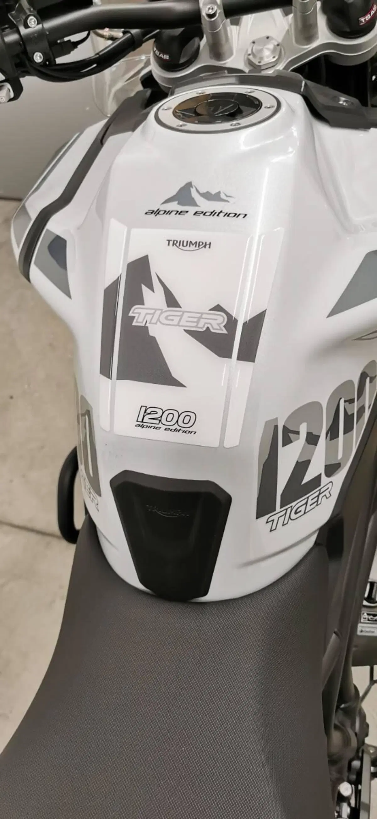 Triumph Tiger 1200 Alpine Edition (2020) (7)