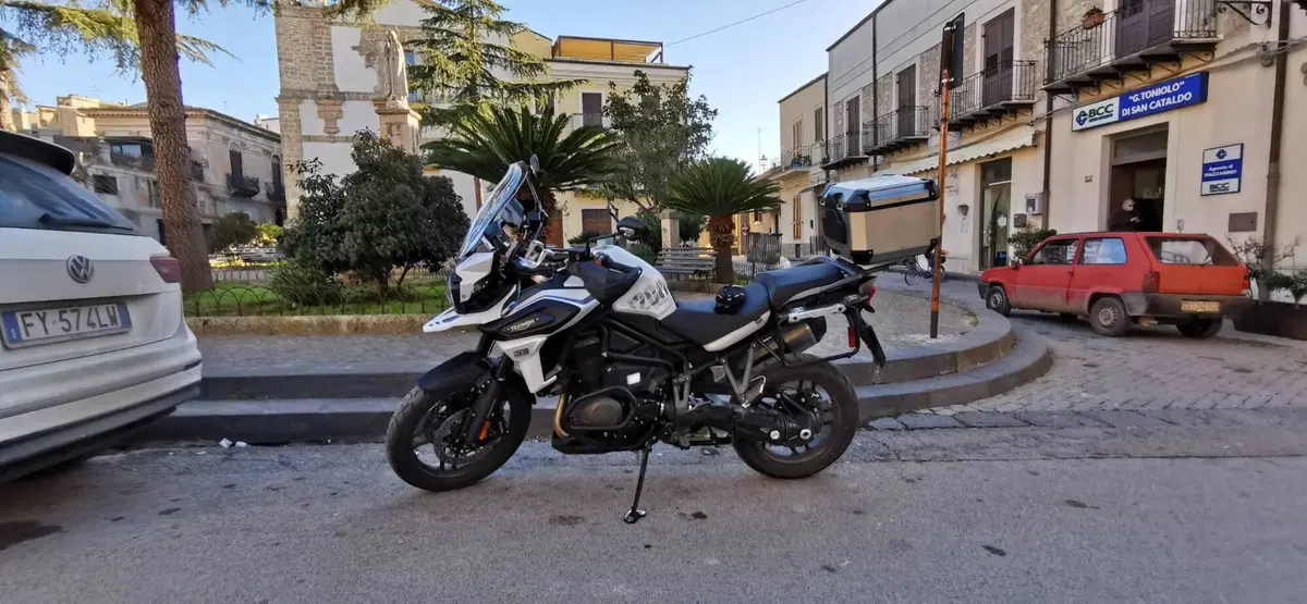 Triumph Tiger 1200 Alpine Edition (2020) (9)