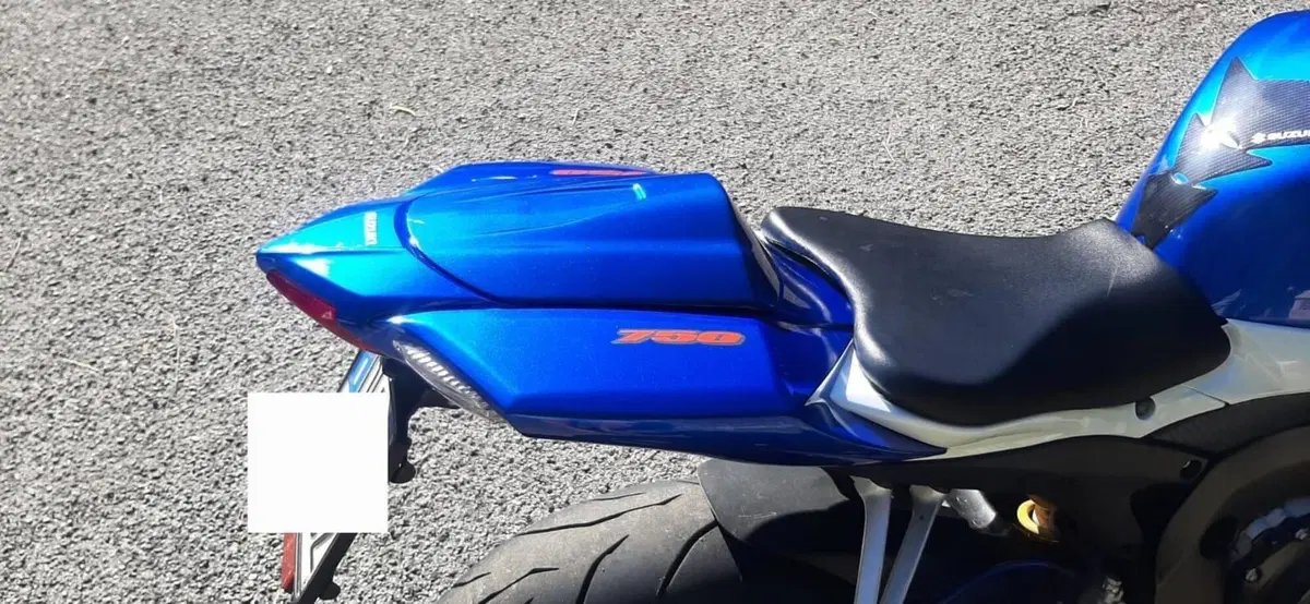Suzuki GSX R 750 (2008 - 10) (13)