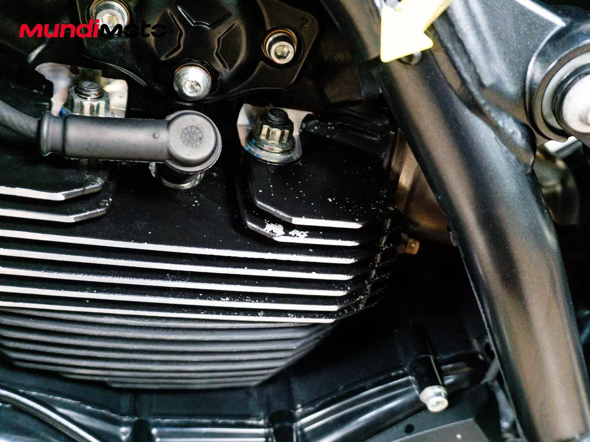 Ducati Scrambler 800 Icon Dark (2020) (16)
