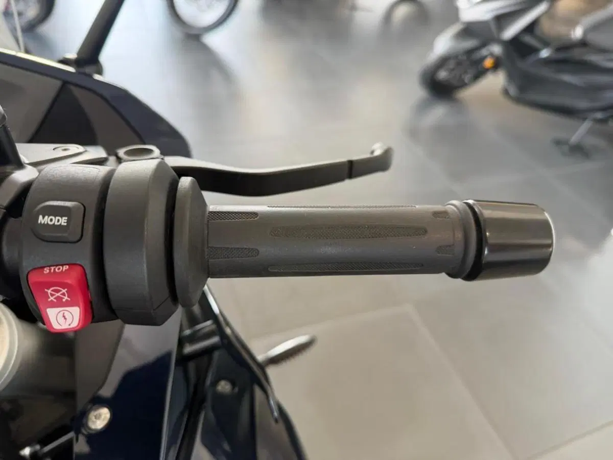 Bmw R 1250 RS (2019 - 20) (2)