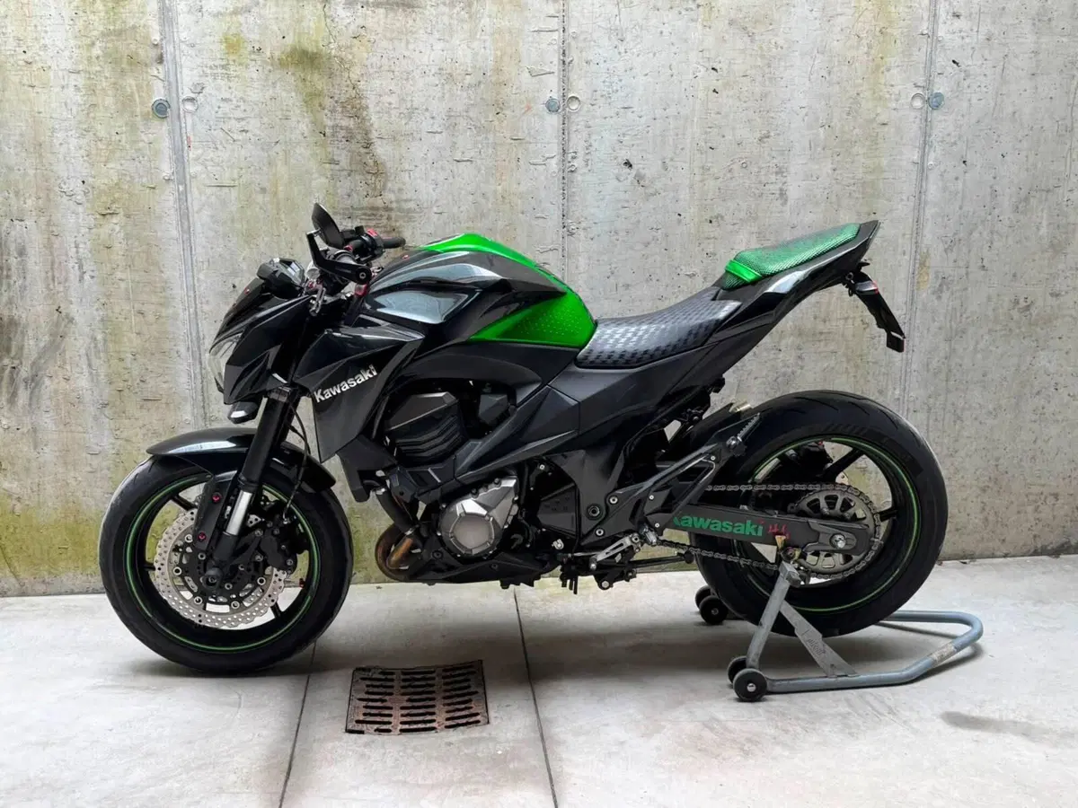 Kawasaki Z 800 (2012 - 13) (3)