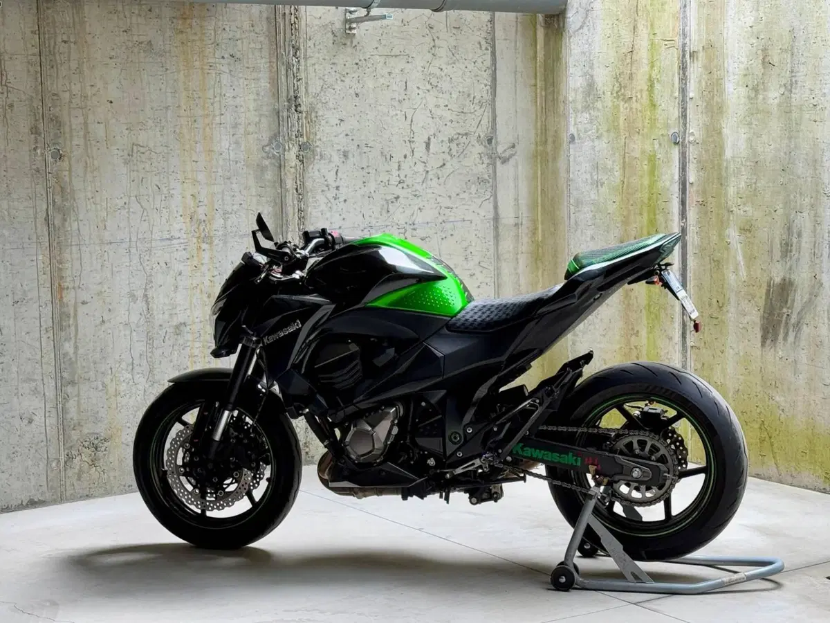 Kawasaki Z 800 (2012 - 13) (6)