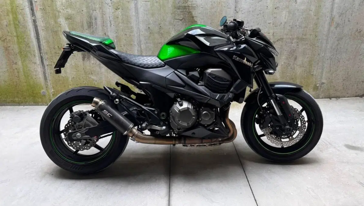 Kawasaki Z 800 (2012 - 13) (2)