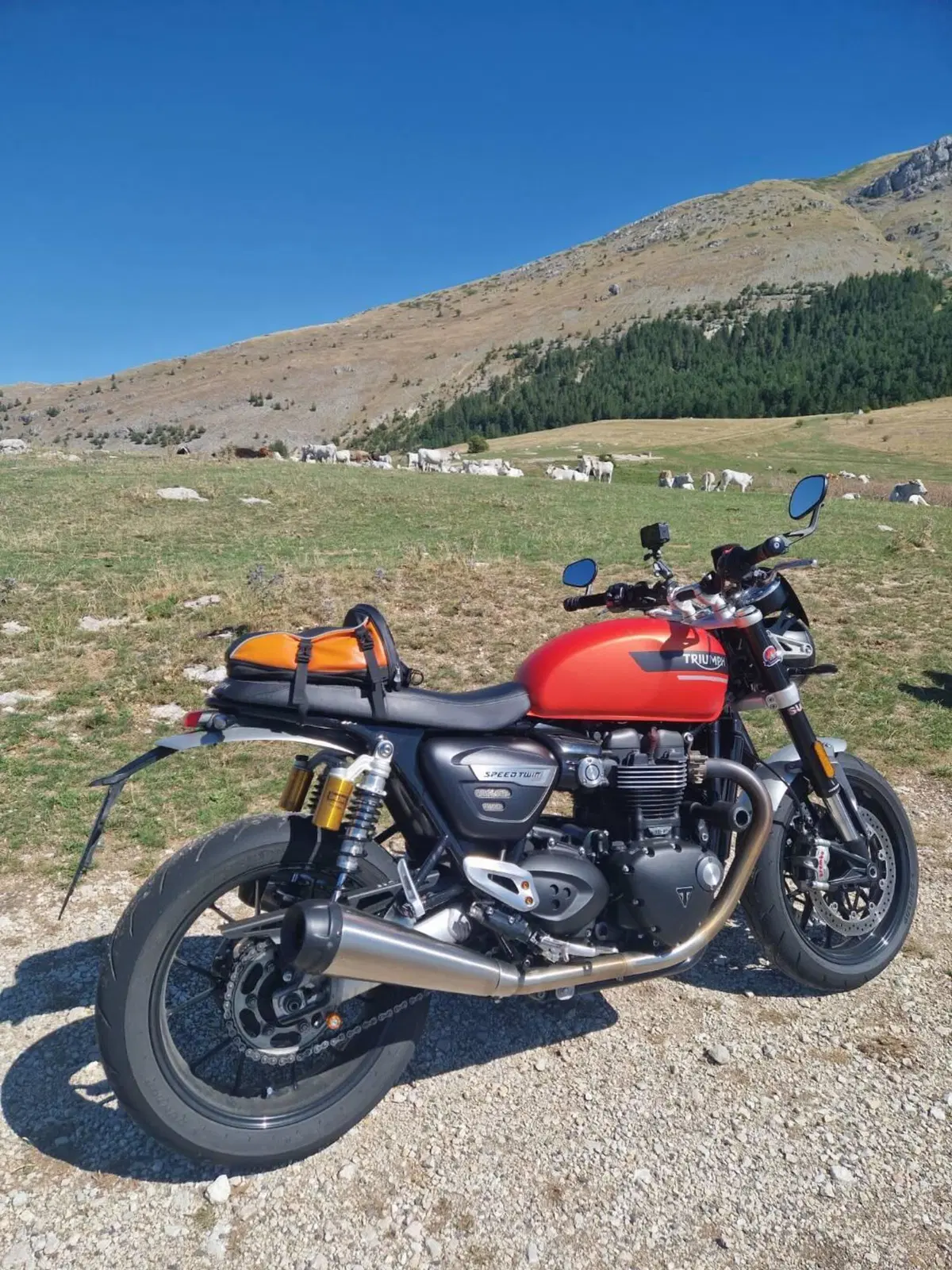 Triumph Speed Twin 1200 (2021 - 24)