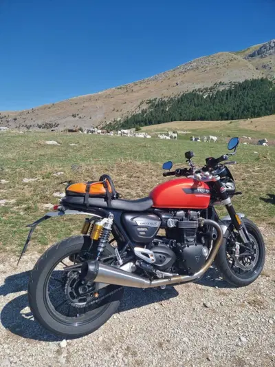 Triumph Speed Twin 1200 (2021 - 24) usata