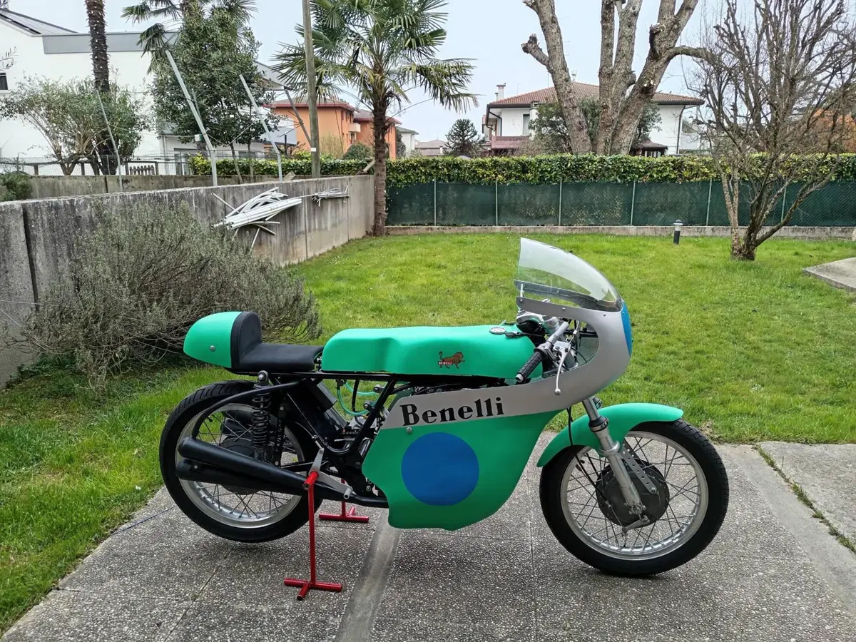 Benelli benelli 250 (2)