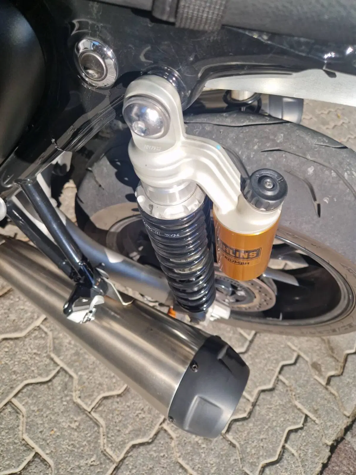 Triumph Speed Twin 1200 (2021 - 24) (4)