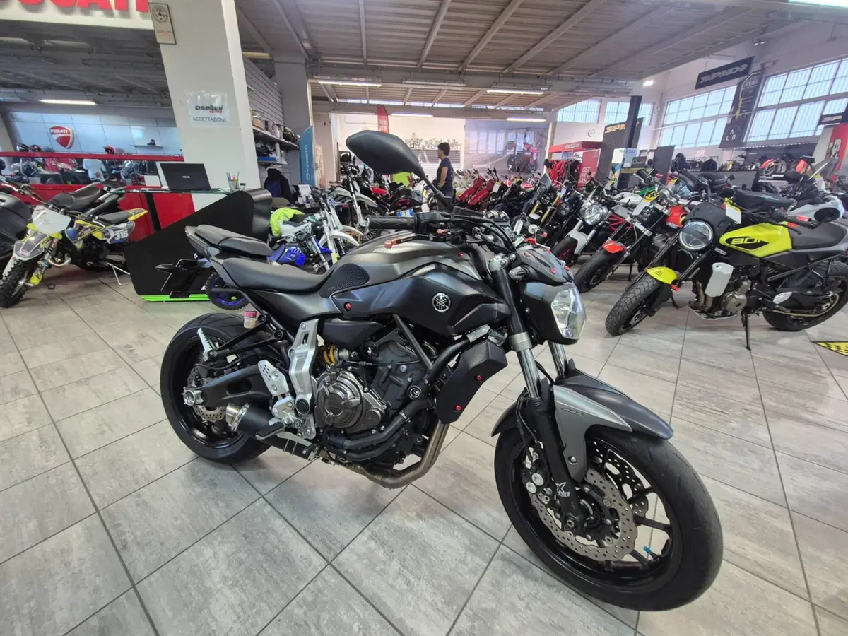Yamaha MT-07 (2014 - 16) (3)