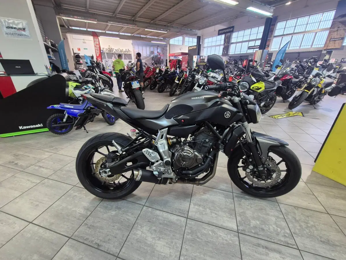 Yamaha MT-07 (2014 - 16) (4)