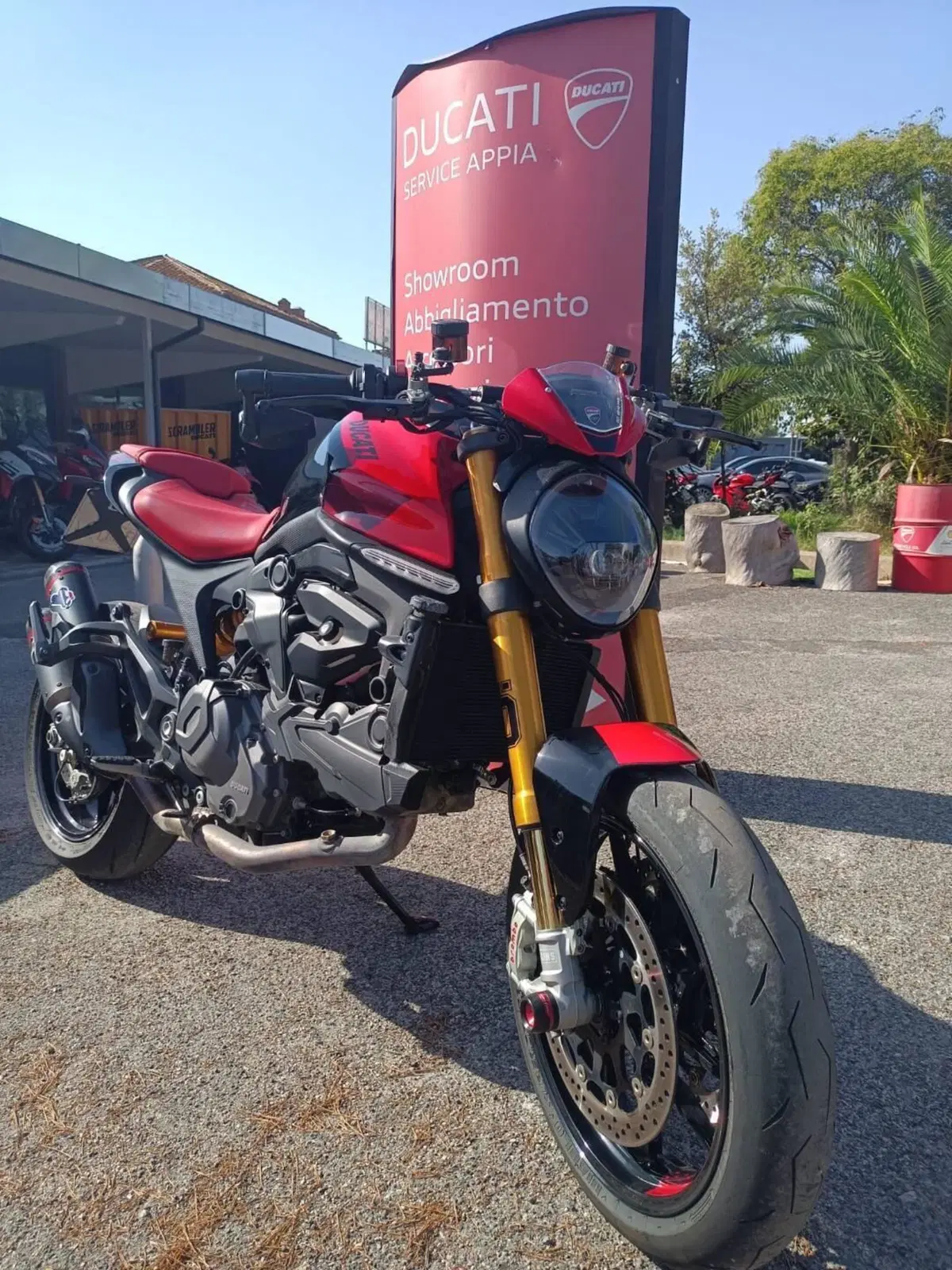 Ducati Monster 937 SP (2023 - 25) (4)