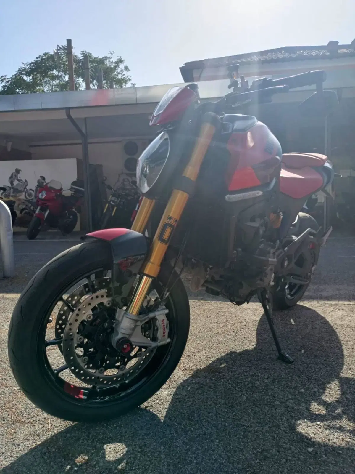 Ducati Monster 937 SP (2023 - 25) (8)