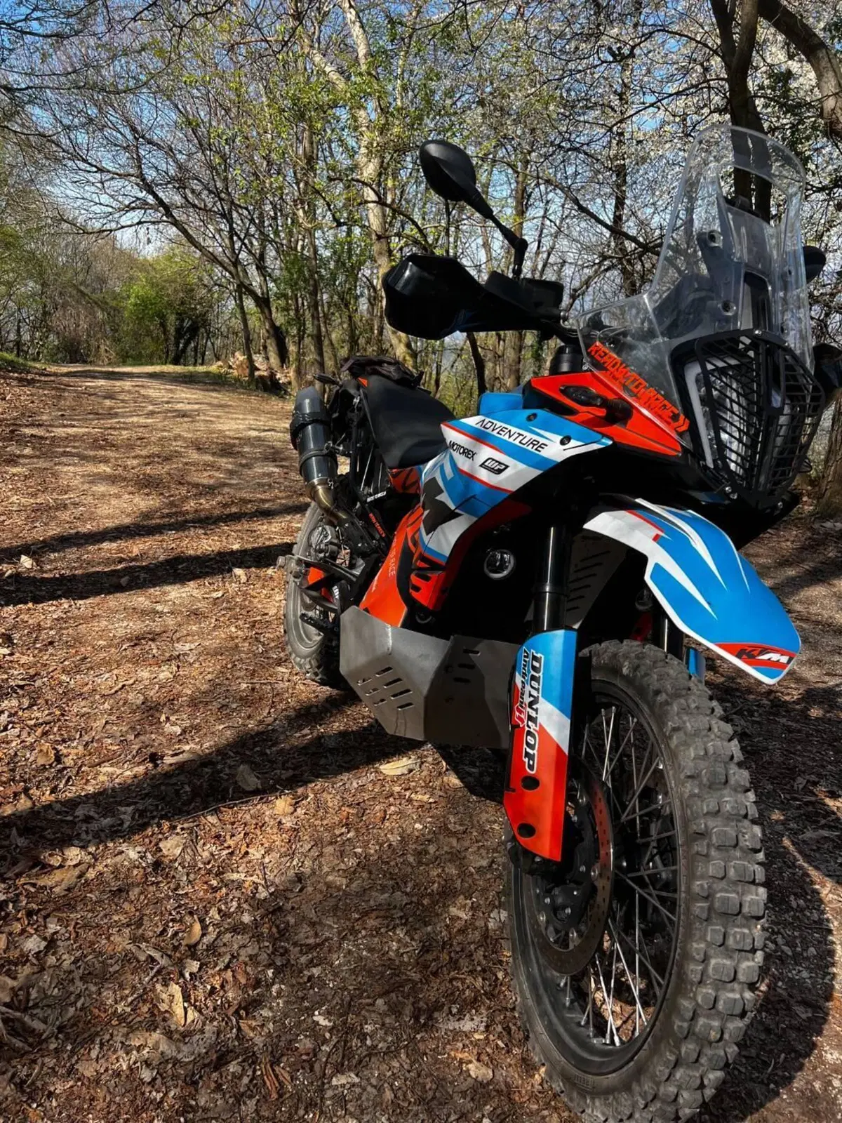 KTM 790 Adventure (2023 - 24) (10)