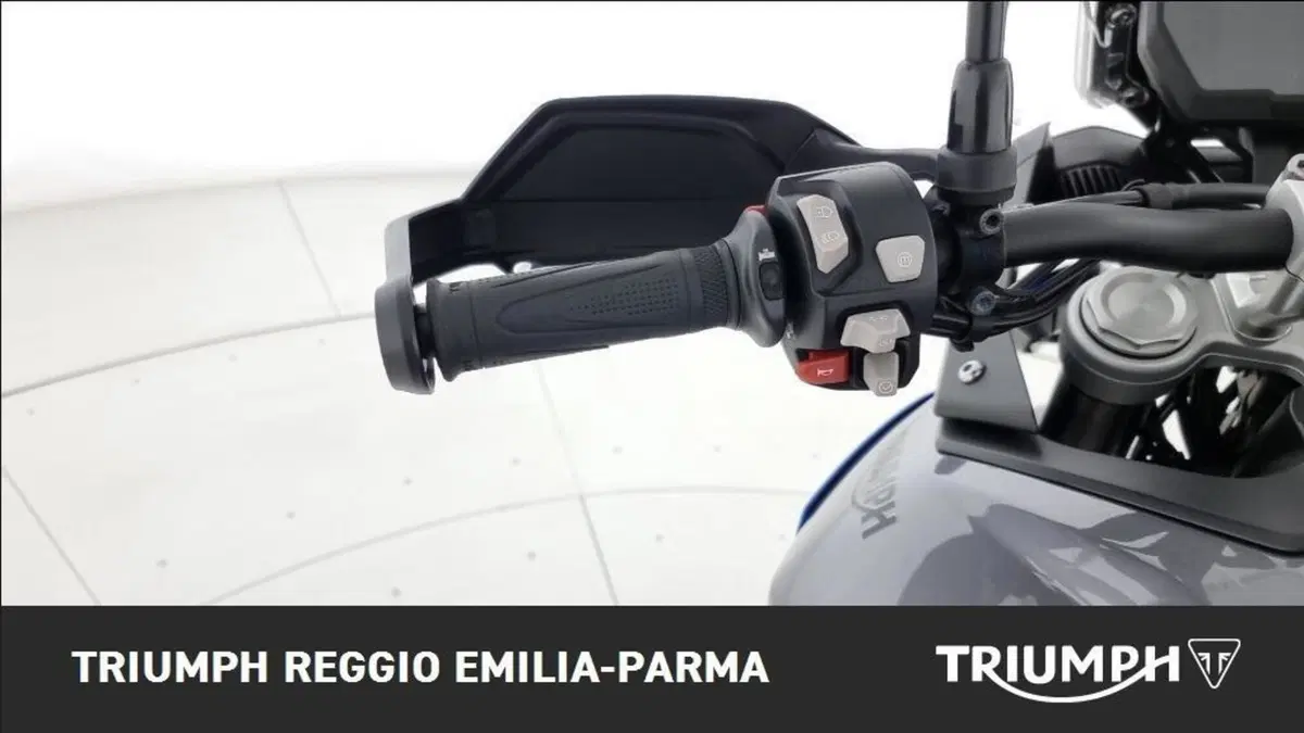Triumph Tiger 850 Sport (2021 - 25) (11)