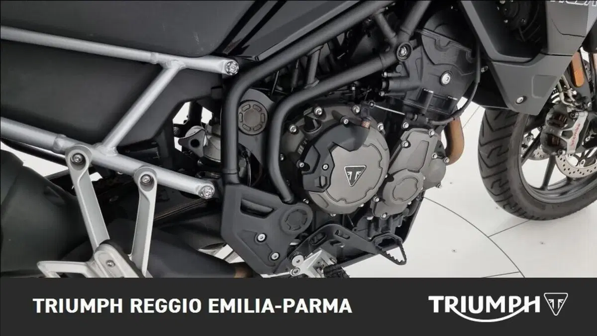 Triumph Tiger 900 (2020) (18)