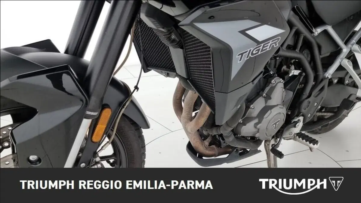 Triumph Tiger 900 (2020) (22)