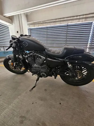 Harley-Davidson 1200 Roadster (2017 - 20) - XL 1200R usata