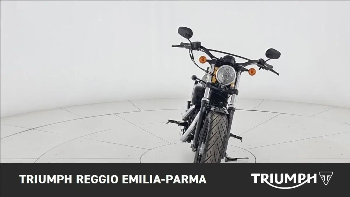 Harley-Davidson 1200 Forty-Eight (2010 - 15) (3)