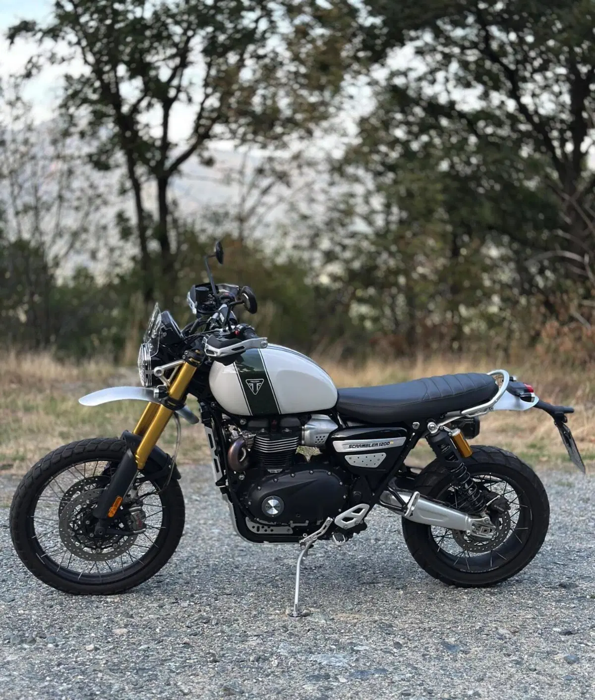 Triumph Scrambler 1200 XE (2019 - 20) (2)