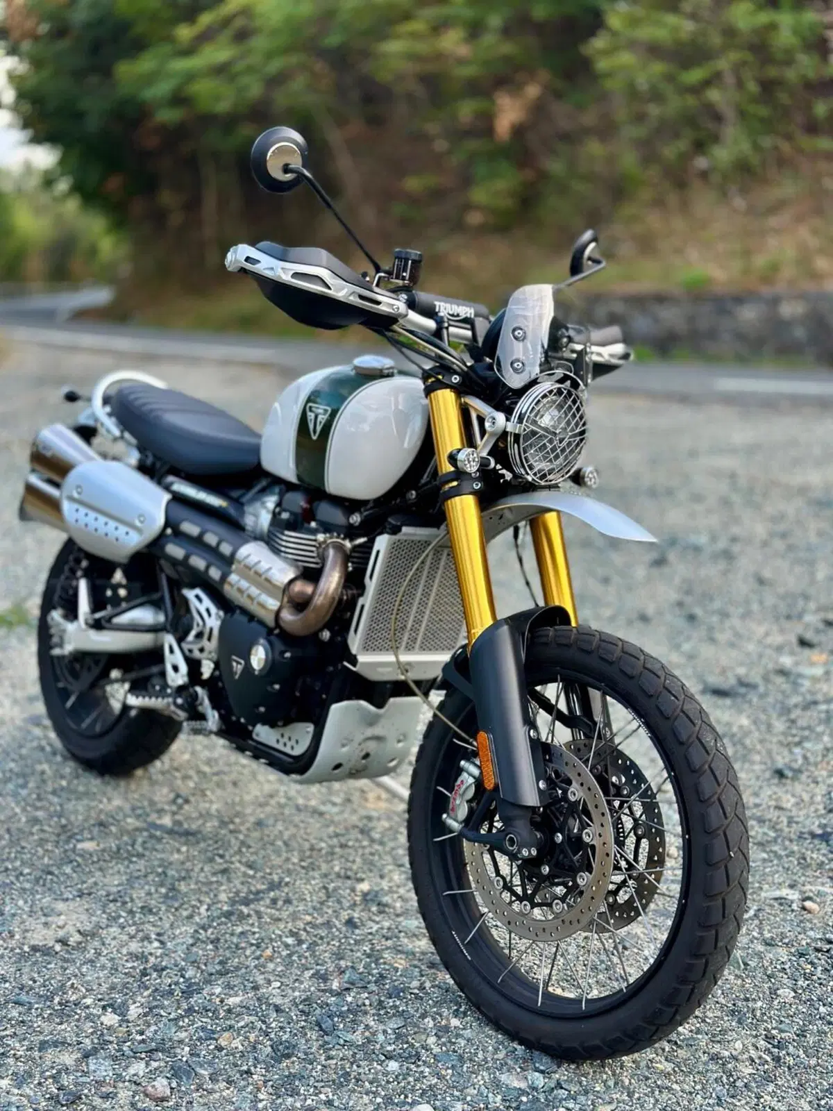 Triumph Scrambler 1200 XE (2019 - 20) (4)
