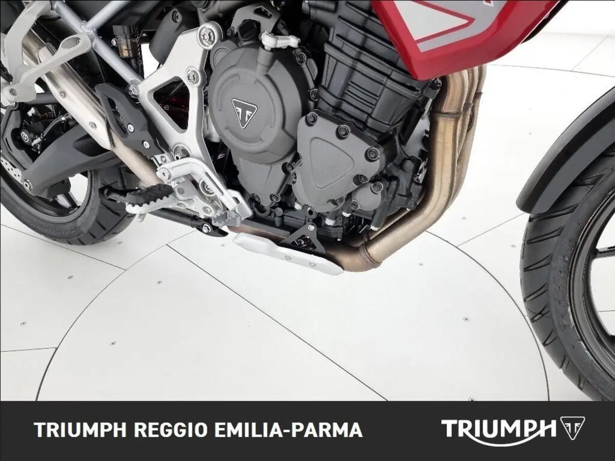 Triumph Tiger 1200 GT Pro (2024 - 26) (20)