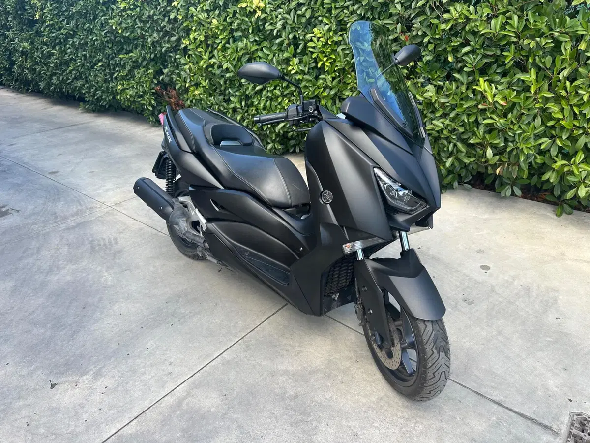 Yamaha X-Max 125 ABS (2018 - 20)