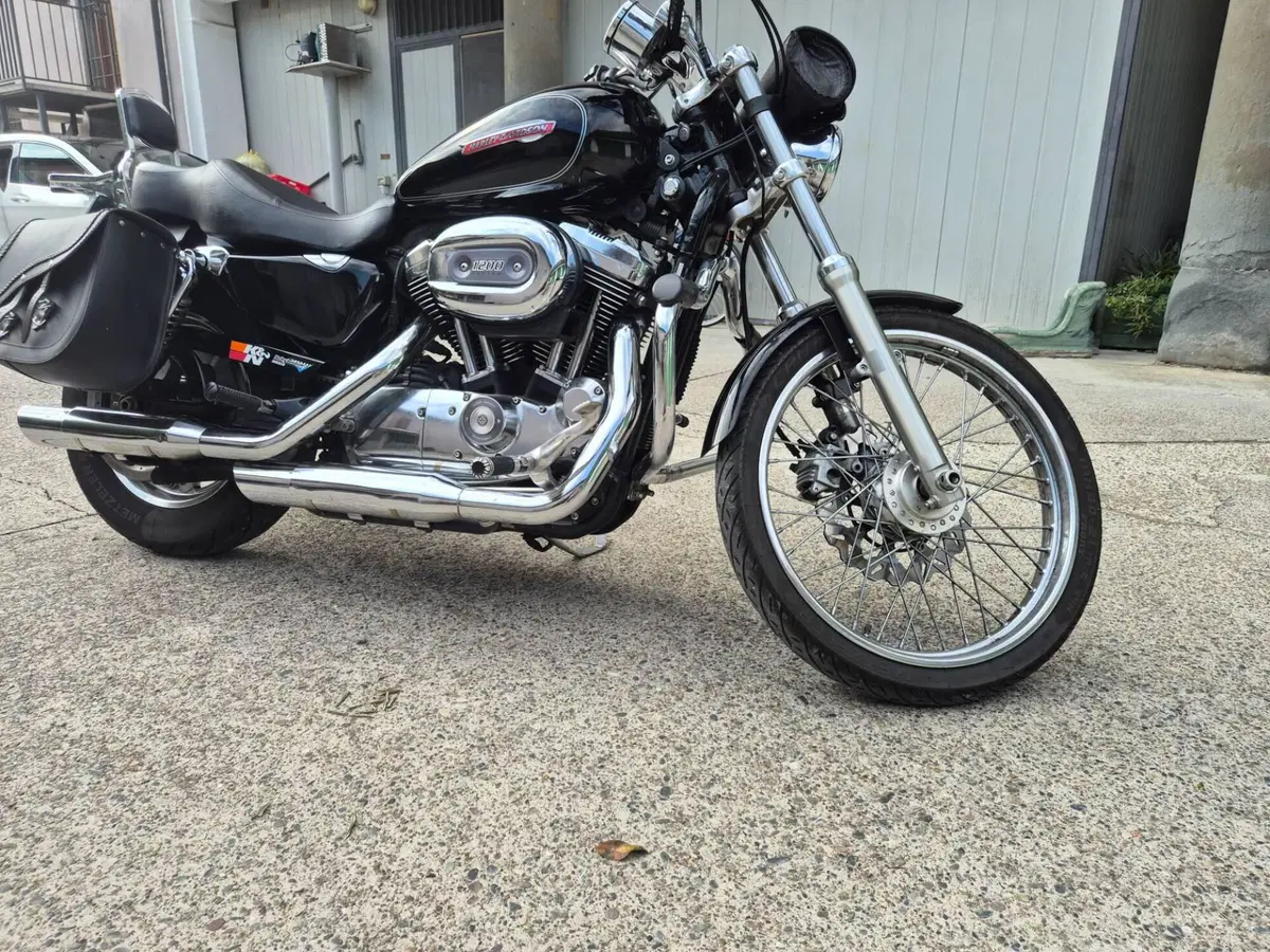 Harley-Davidson 1200 Custom (2007 - 13) - XL 1200C (5)