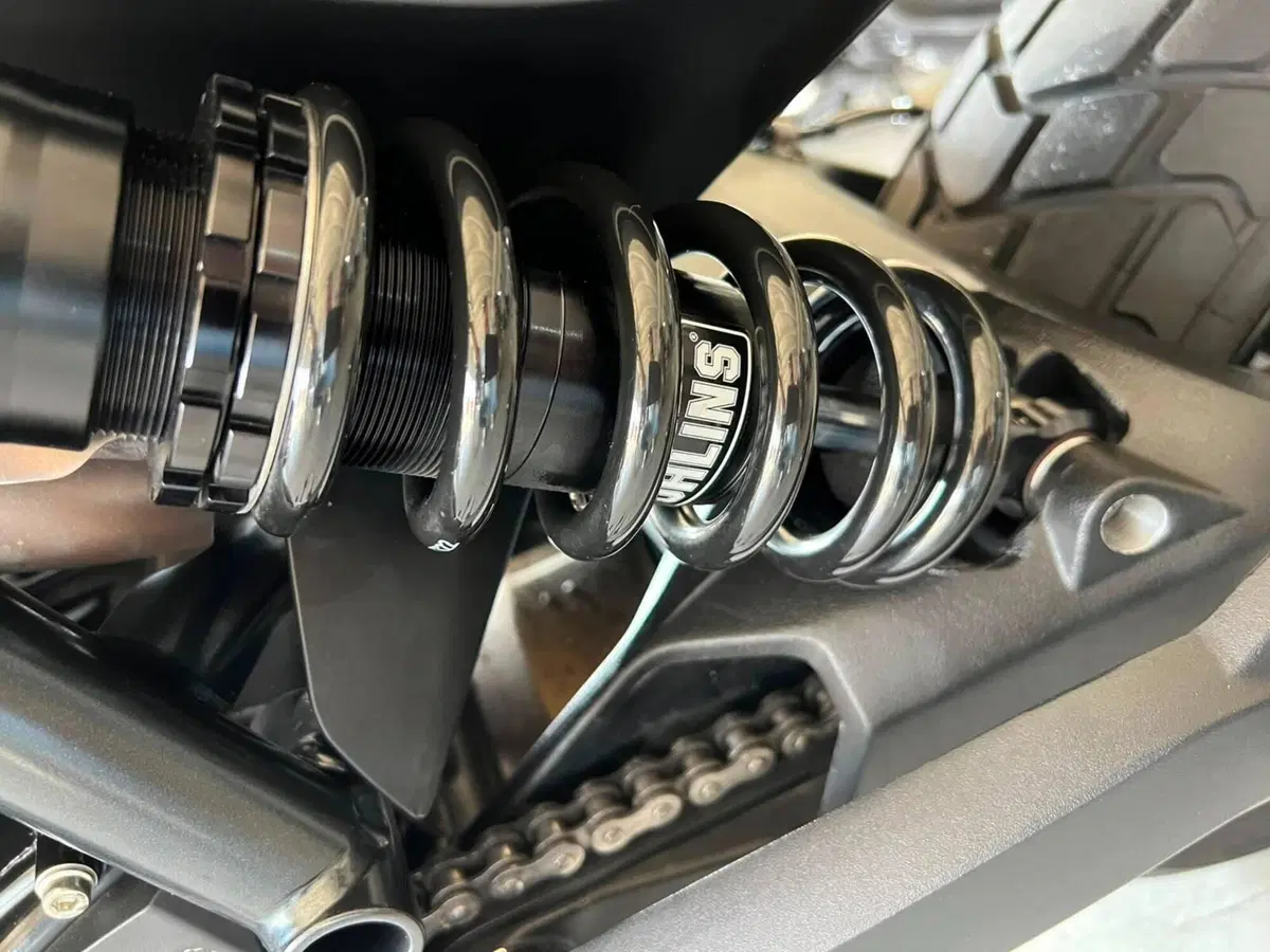 Ducati Scrambler 800 Icon (2021 - 22) (6)