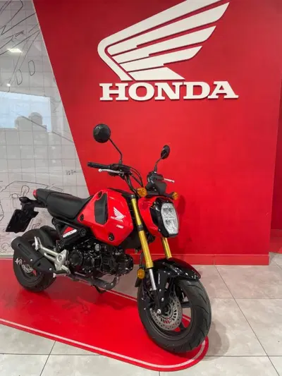 Honda MSX 125 Grom (2021 - 26) usata