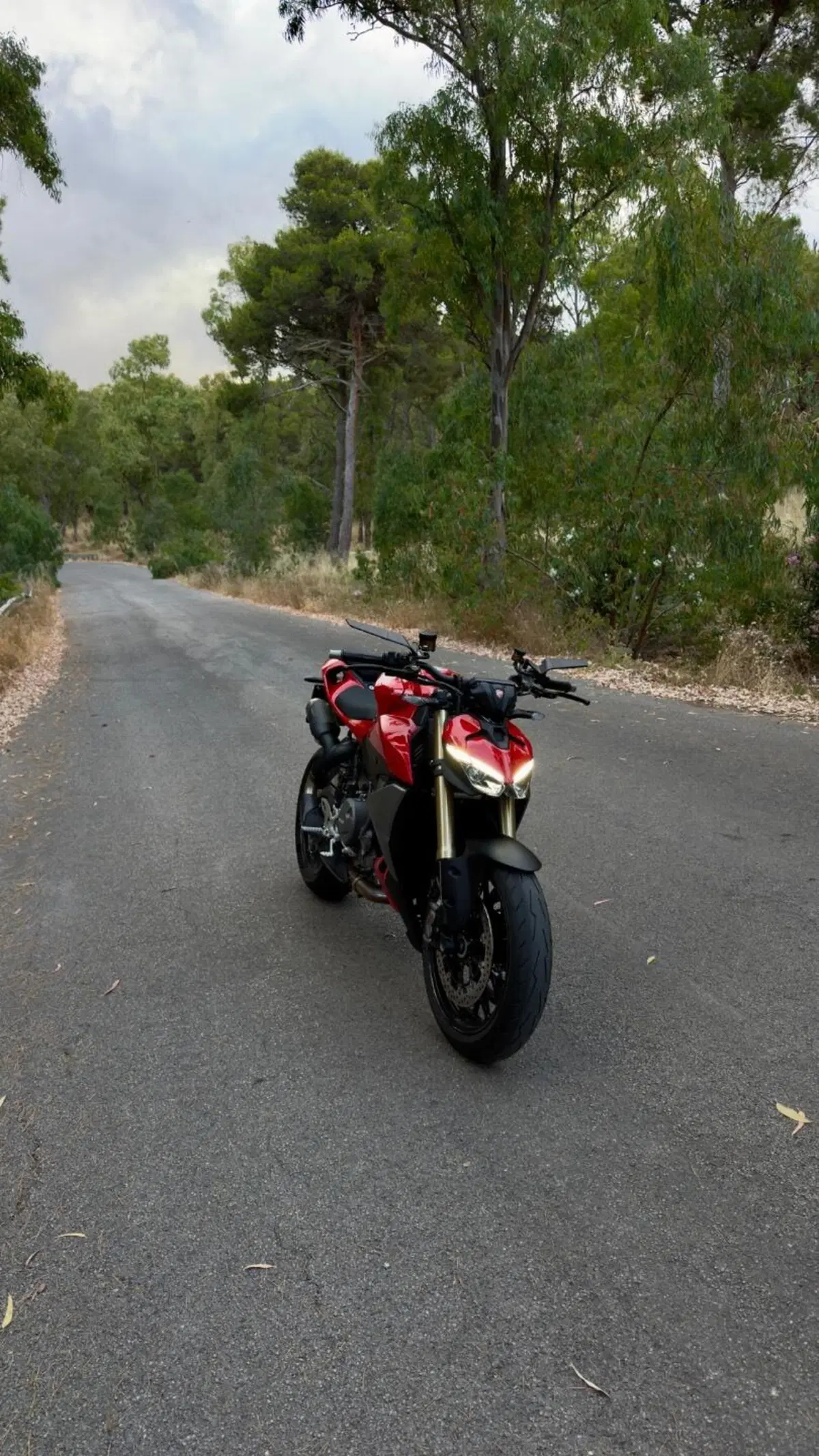 Ducati Streetfighter V2 (2025 - 26)