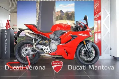 Ducati Panigale V2 (2025 - 26) usata