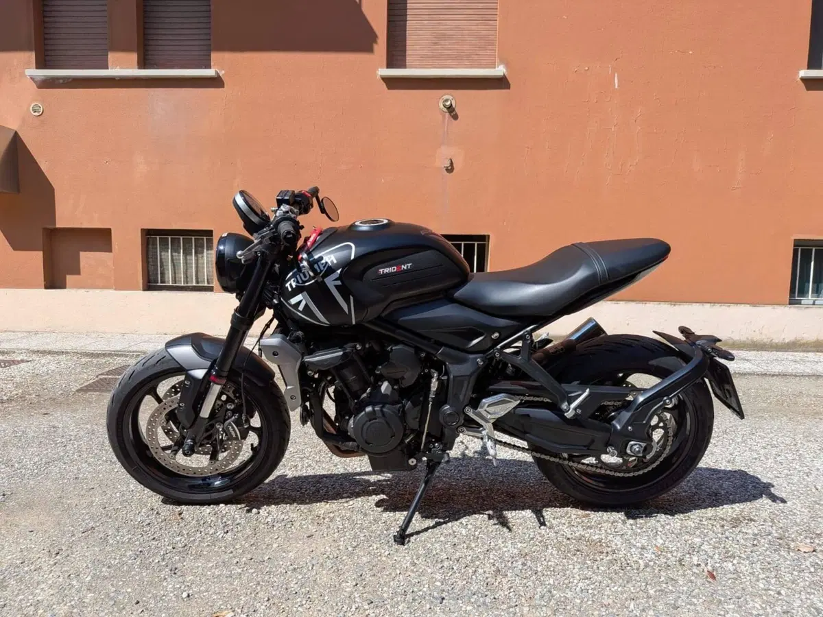 Triumph Trident 660 (2021 - 24)