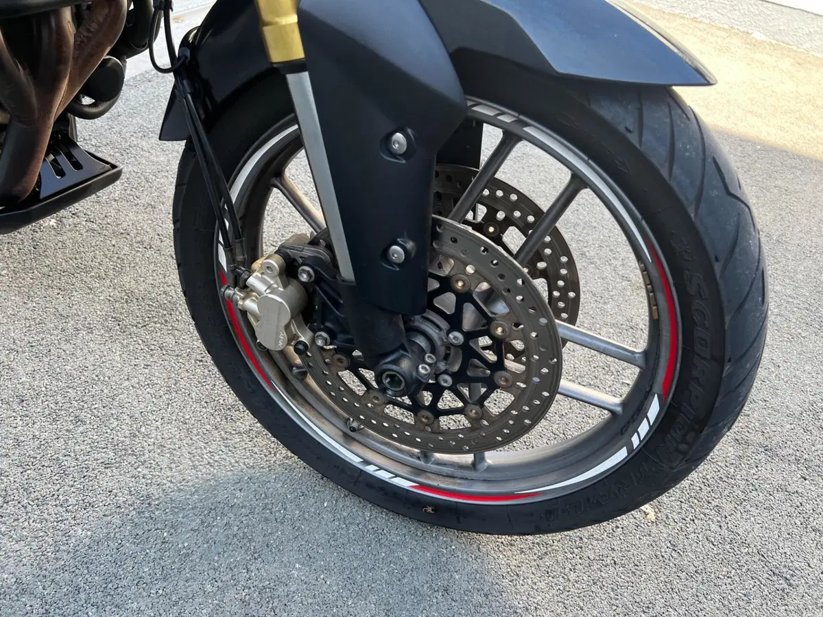 Triumph Tiger 800 ABS (2010 - 14) (17)