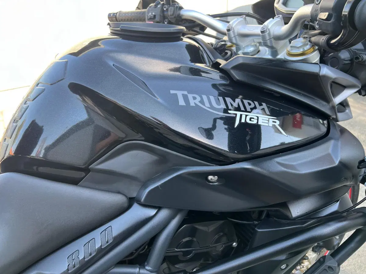 Triumph Tiger 800 ABS (2010 - 14) (9)