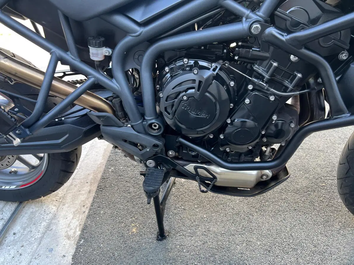 Triumph Tiger 800 ABS (2010 - 14) (19)